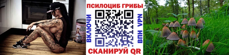 Псилоцибиновые грибы MAGIC MUSHROOMS  Купить  Верхоянск 
